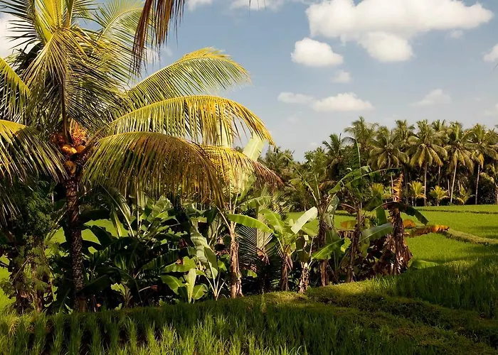 Puri Bebengan Casa de hóspedes Ubud