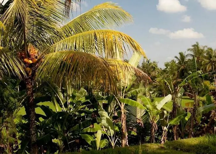 Puri Bebengan Gasthuis Ubud